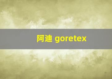 阿迪 goretex